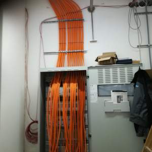 Elektro ormani