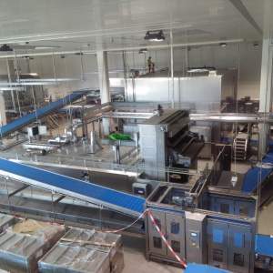 Industrija hrane i pića